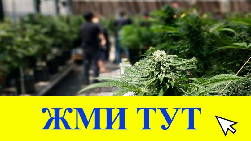 Купить наркотики в Голицыно